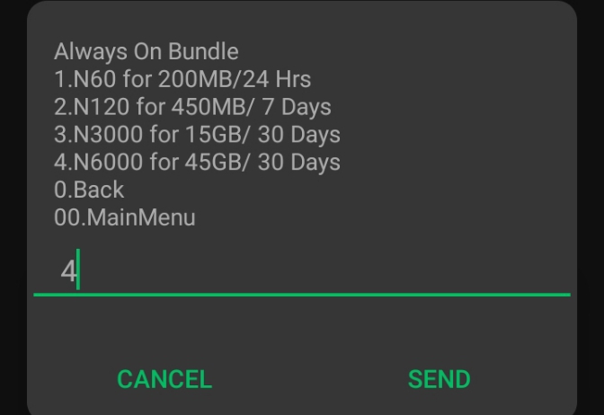 Step 4 on how to buy mtn always on data plan