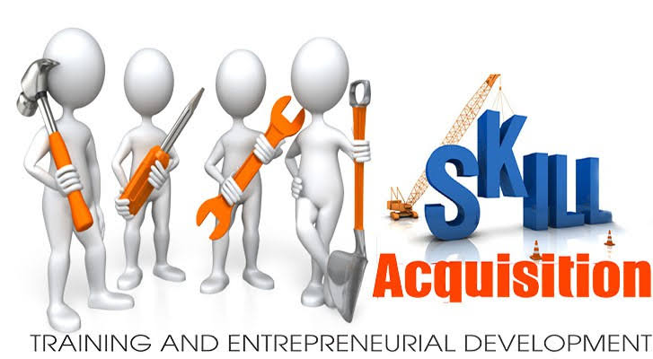 Skill acquisition programs in Nigeria