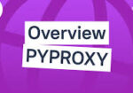 1200 PyProxy Socks5 residential IPs – Affordable CDKey